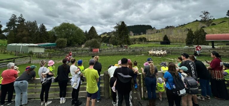 TCRFMinNZ (1)